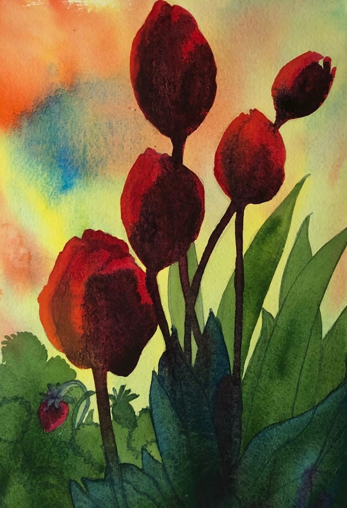 Tulips VI 