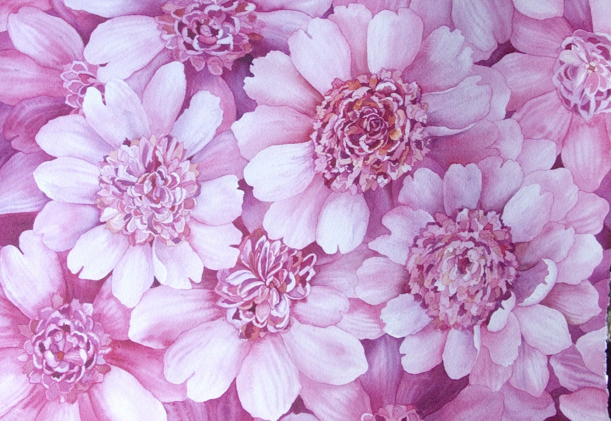 Pink Peonies by Helen R Klebesadel 