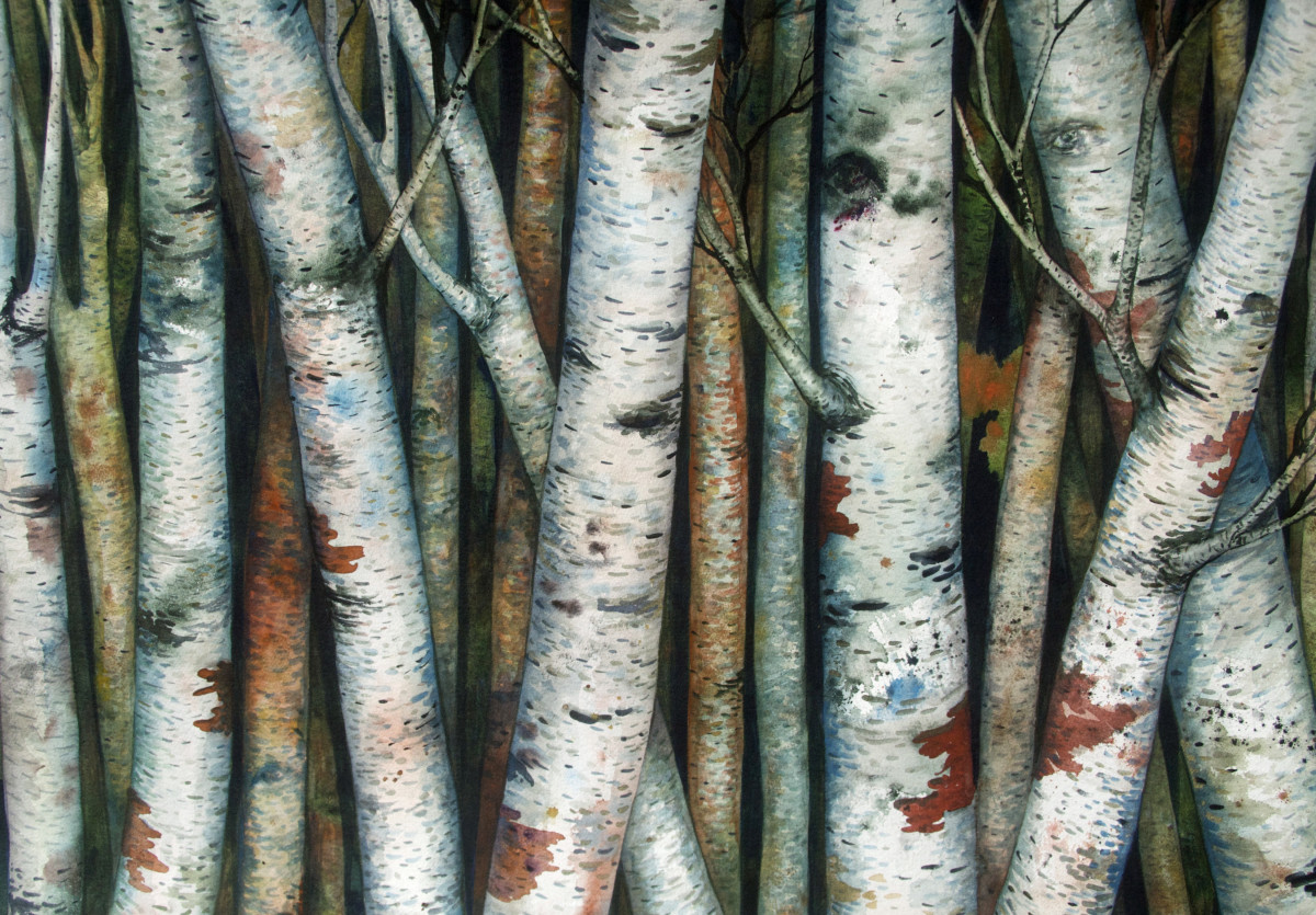 Watchers I: Birches by Helen R Klebesadel 