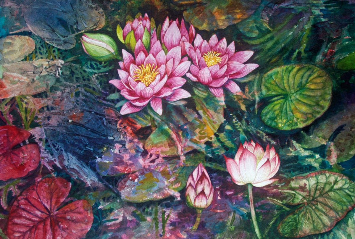 Water Lilies watercolor by Helen R Klebesadel 