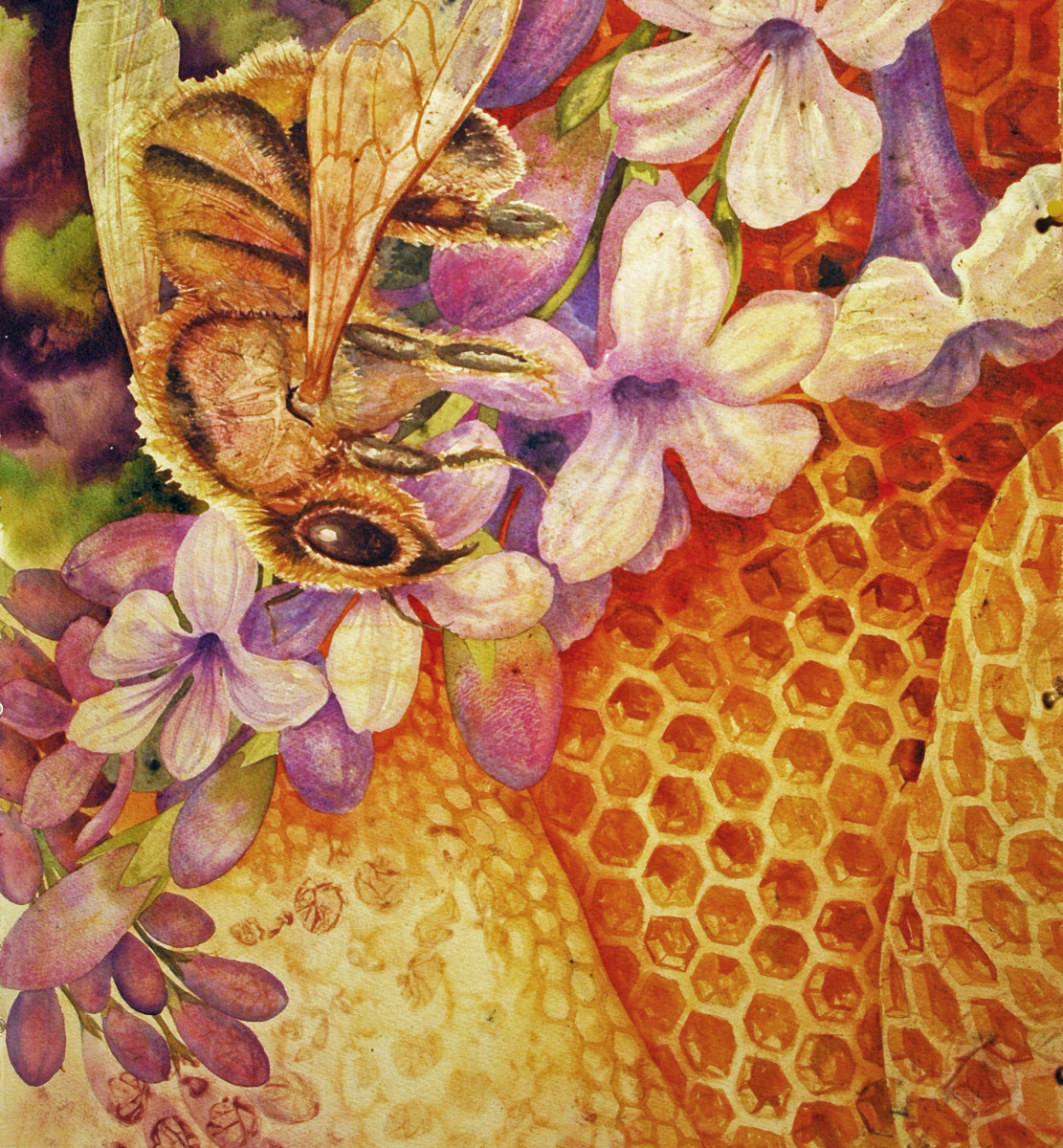 Where Are the Bees V by Helen R Klebesadel 