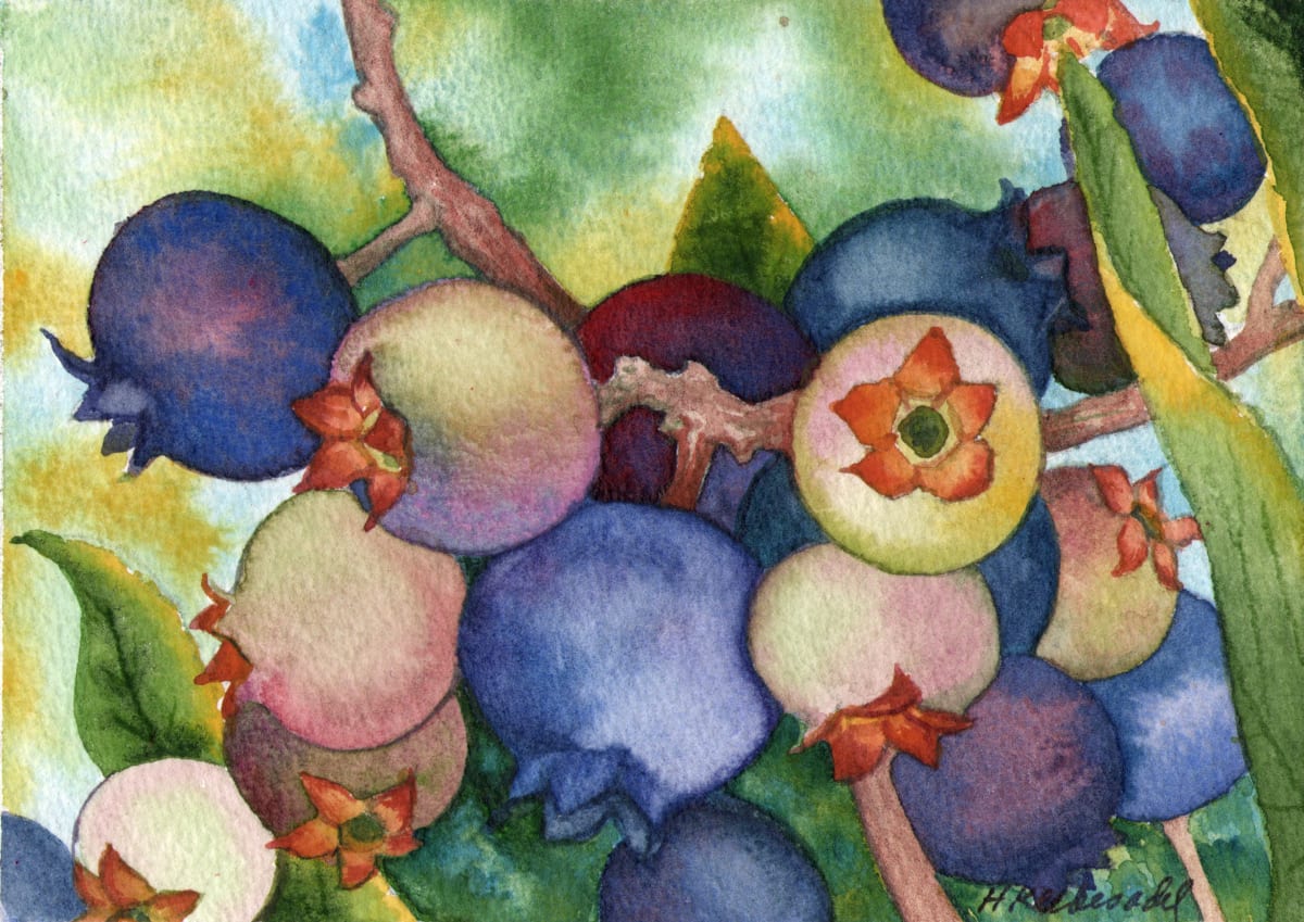 Wild Blueberries an original watercolor by Helen R Klebesadel 