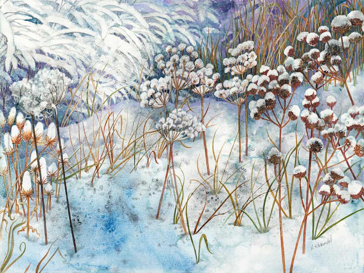 Greeting Card - Winter Prairie I by Helen R Klebesadel 