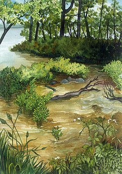 Allequash Creek On Trout Lake by Helen R Klebesadel 