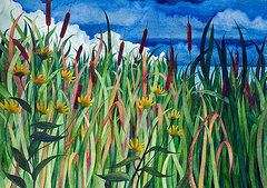 Cattails  by Helen R Klebesadel 