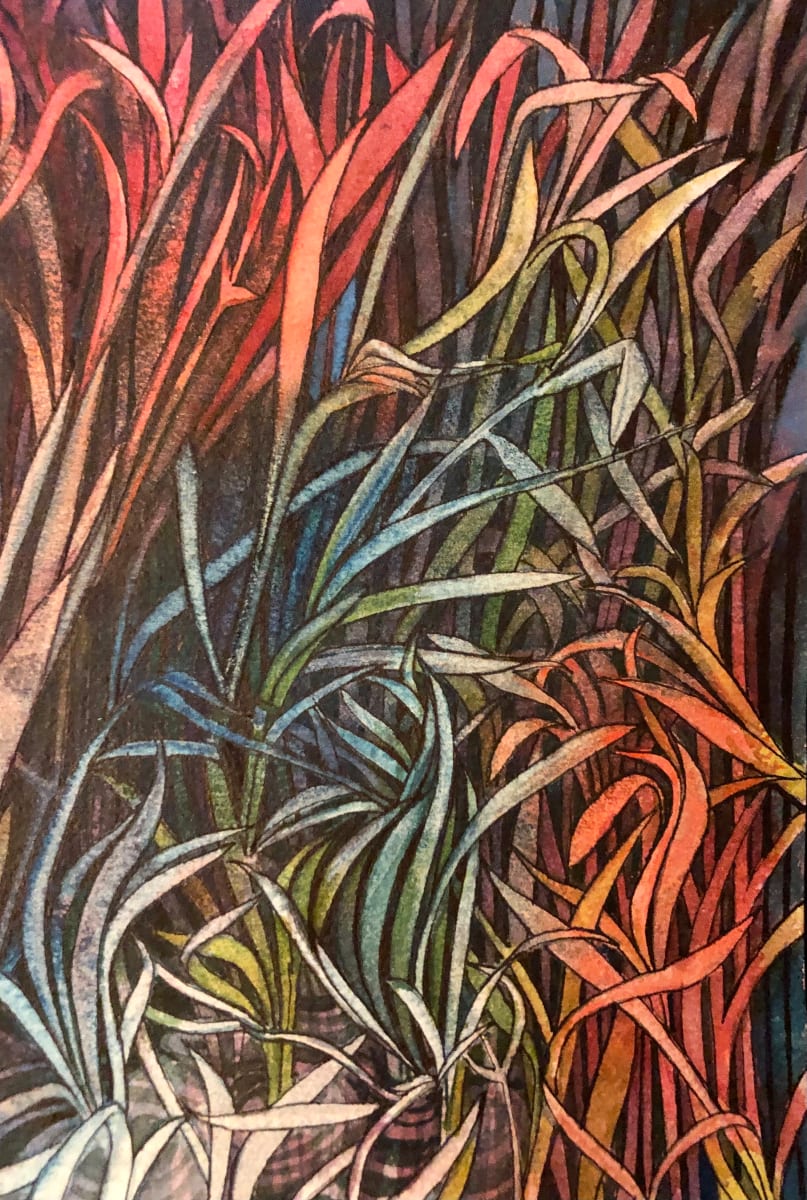 Grasses - Drawing a Day #29 by Helen R Klebesadel 