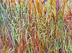 Prairie Grasses by Helen R Klebesadel 