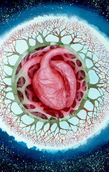 Earth Heart by Helen R Klebesadel 