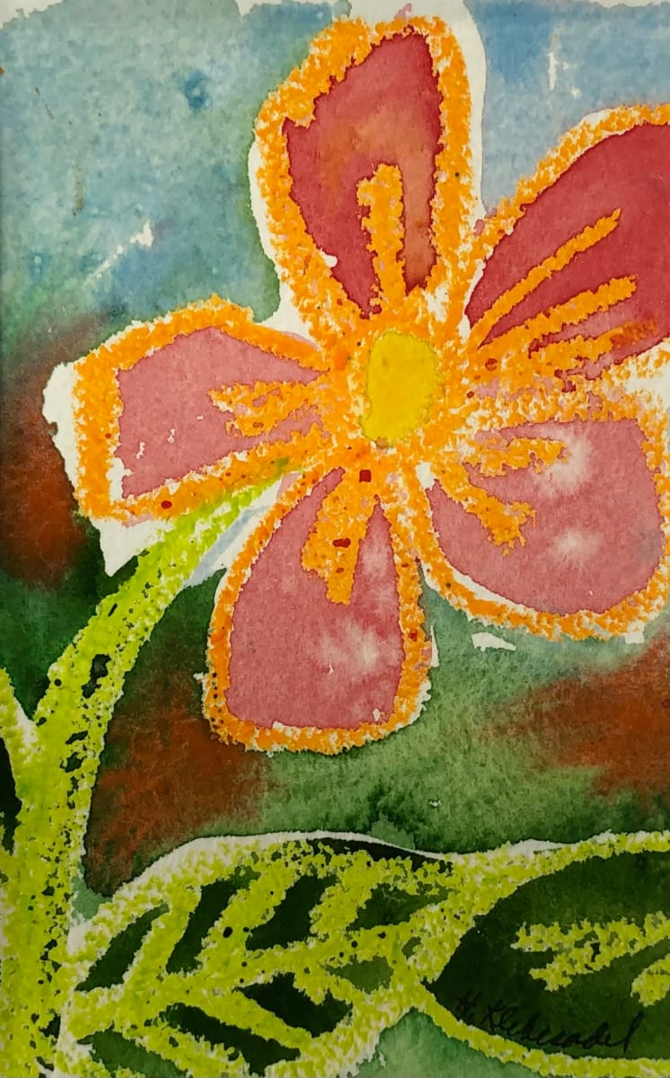 Wax Flower Abstract by Helen R Klebesadel 