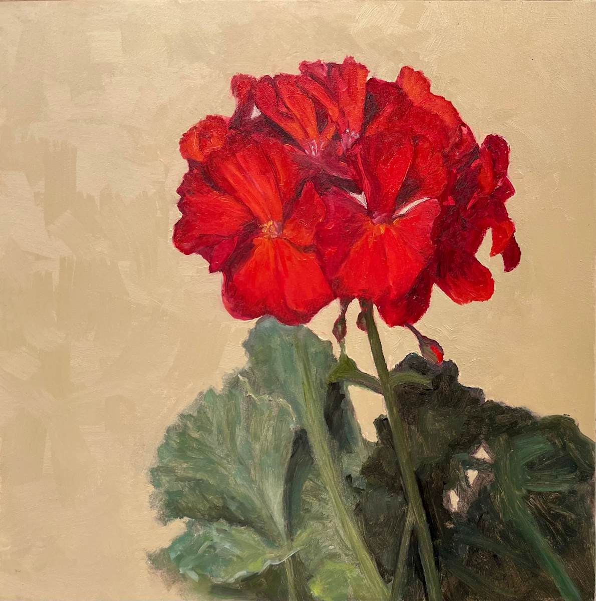 Red Geranium by Heidi V Huck, Image 1.