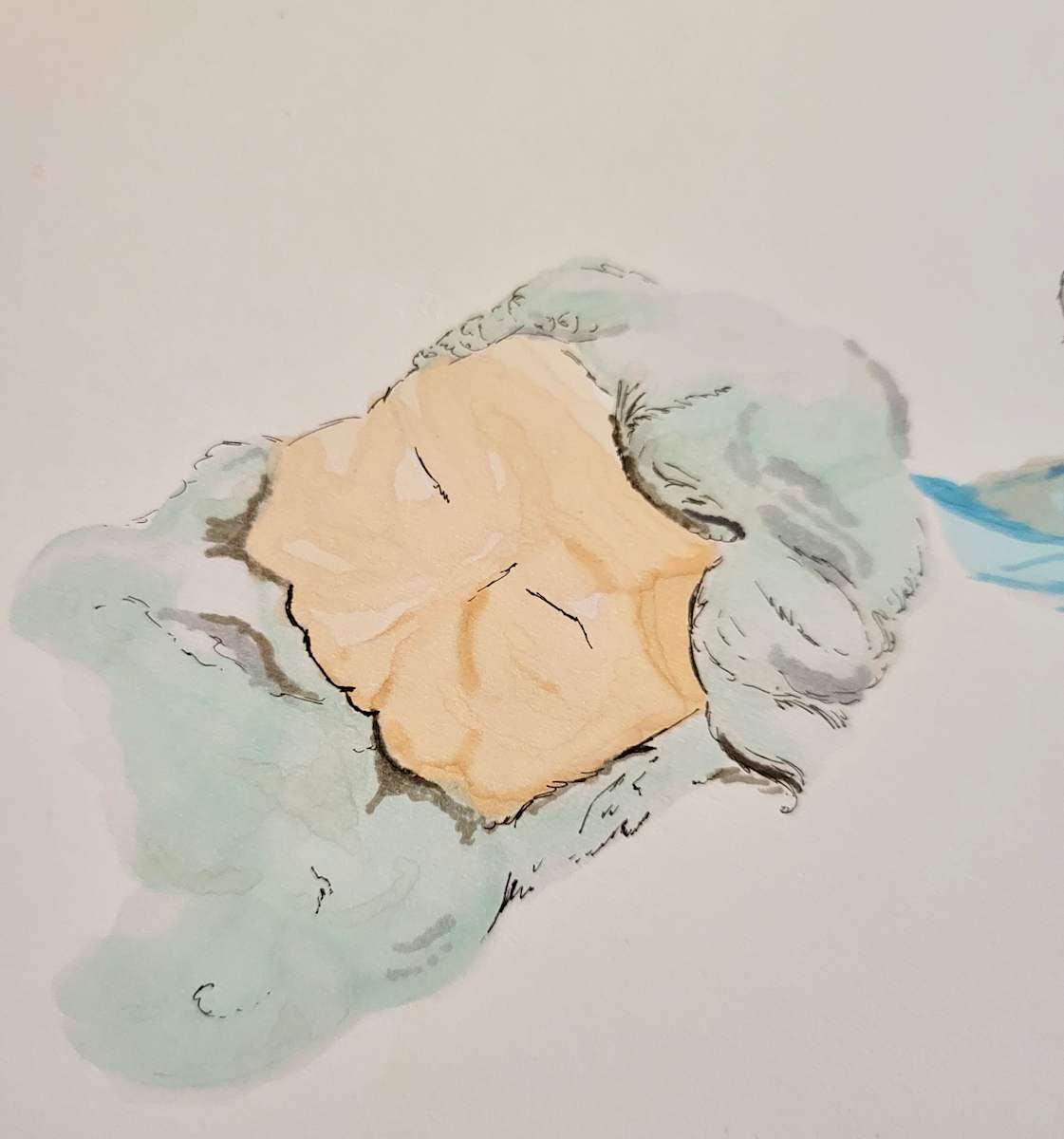 A study 3 by Stephanie Kuczma 