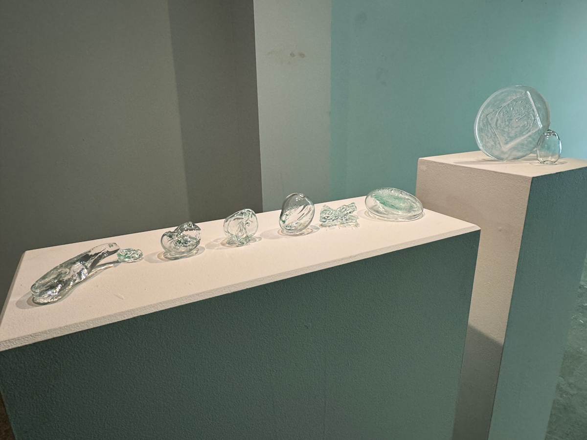 Flexous Culture by Stephanie Kuczma 