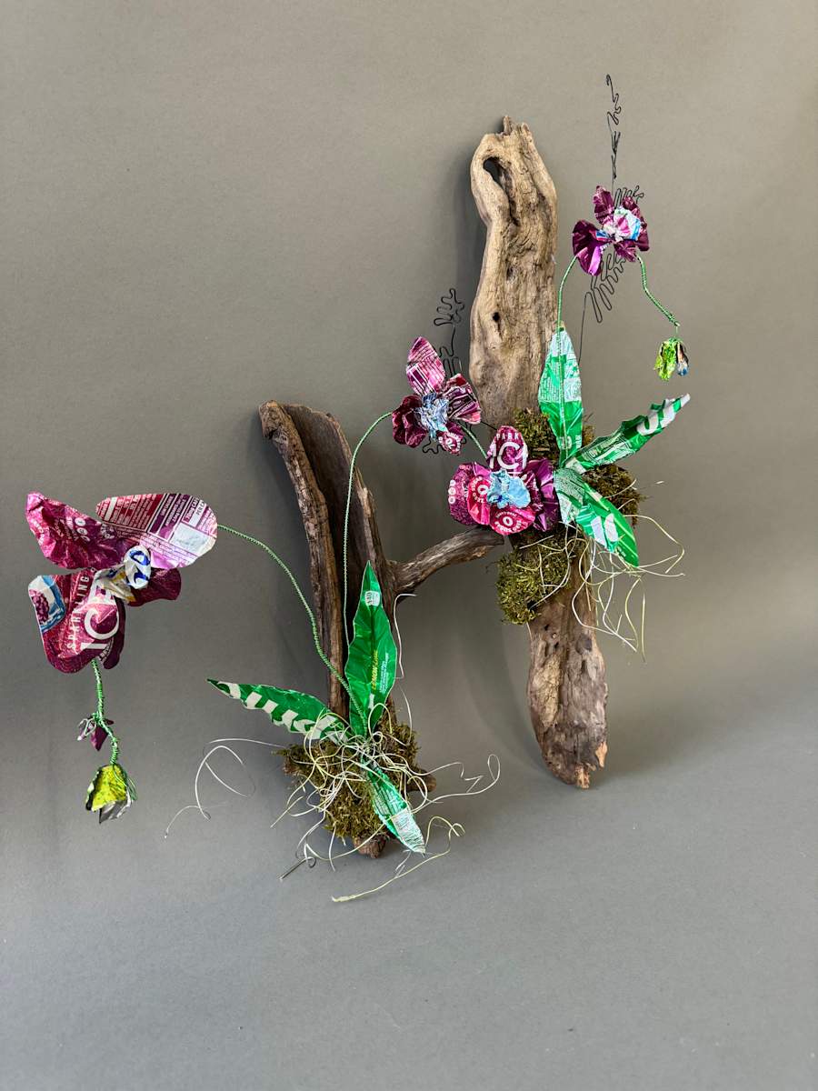 Everlasting nature by Stephanie Kuczma 