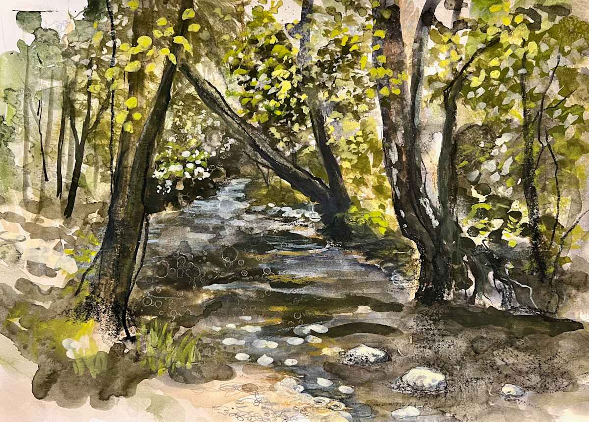 Cool (Summer, Glencorse Burn) by Julie Galante, Image 1.