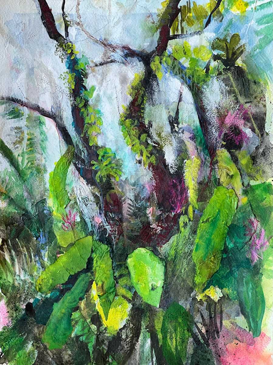 In the misty canopy (Costa Rica) by Julie Galante, Image 1.