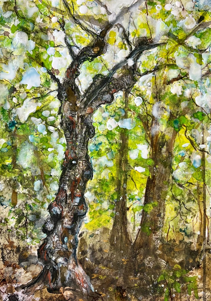 Favourite tree study by Julie Galante, Image 1.