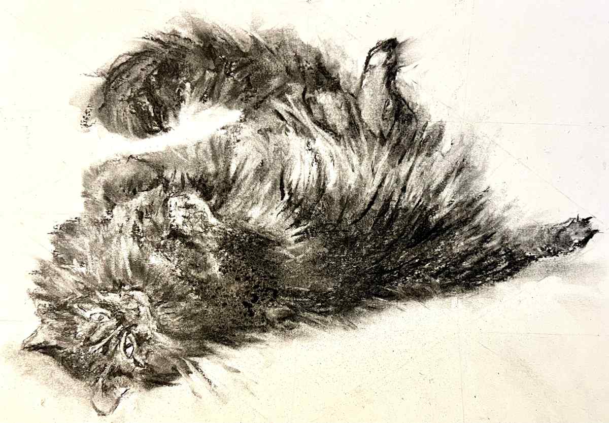 Purrcules Mulligan by Julie Galante, Image 3.