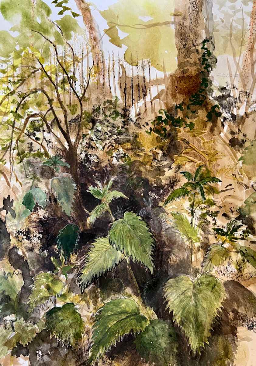 Nettles by the water by Julie Galante, Image 1.