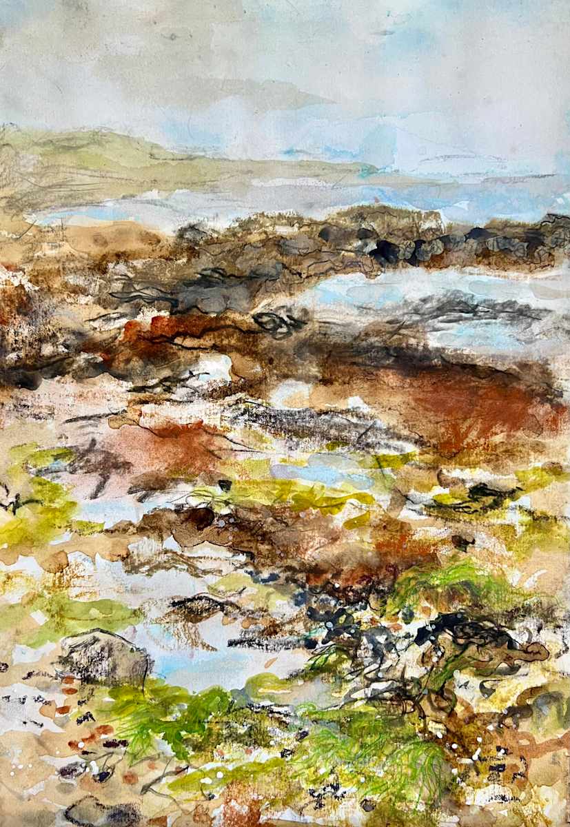 Rockpools, Fife by Julie Galante, Image 1.