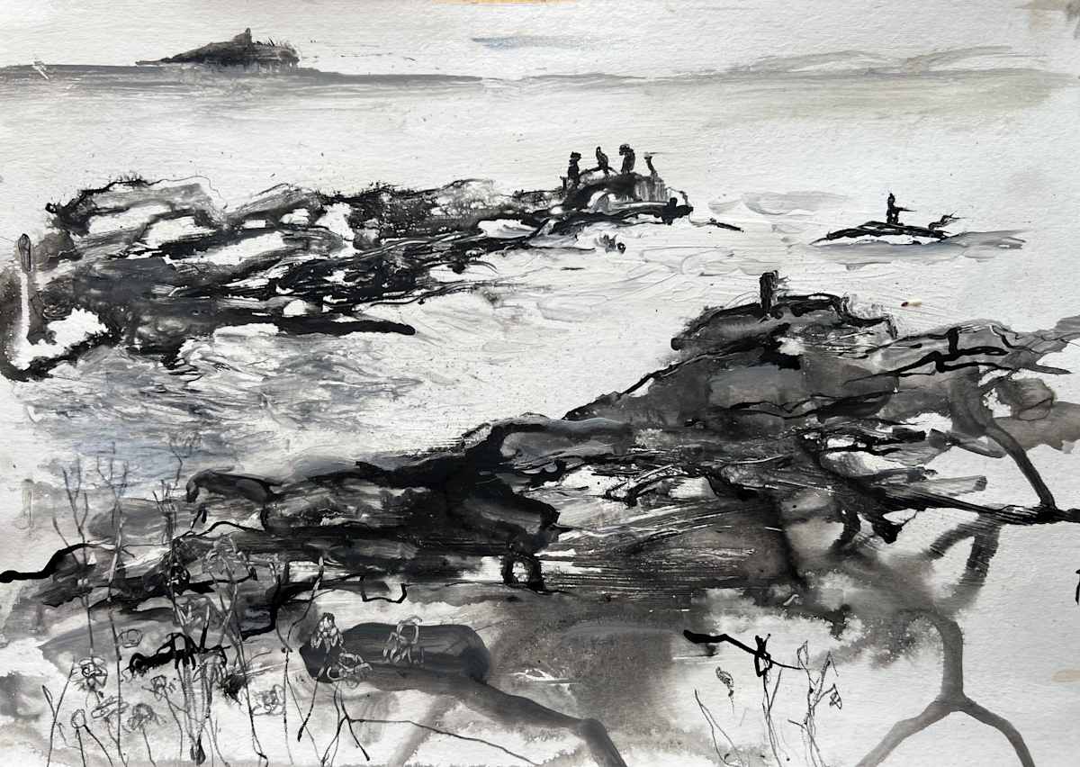 Inky shores by Julie Galante, Image 1.
