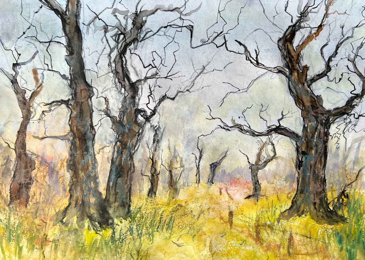 Ancient Oaks study by Julie Galante, Image 1.
