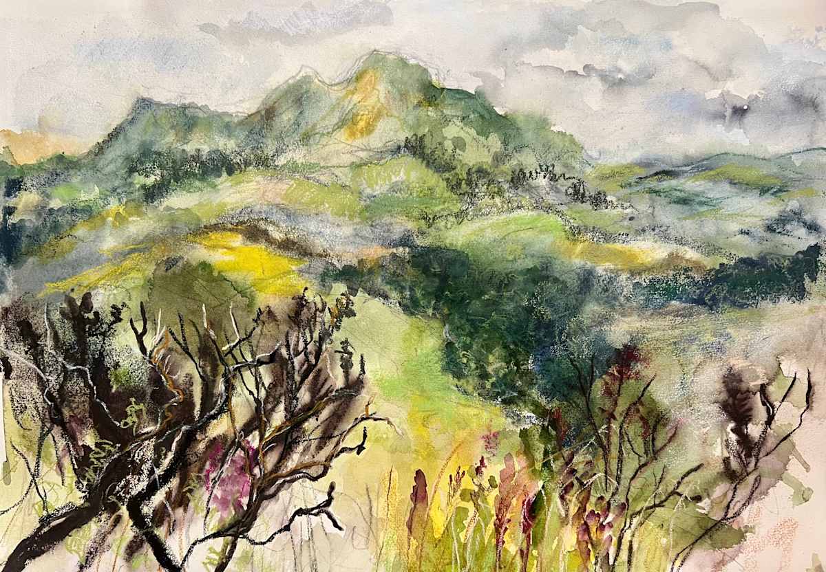 Scott's View by Julie Galante, Image 1.