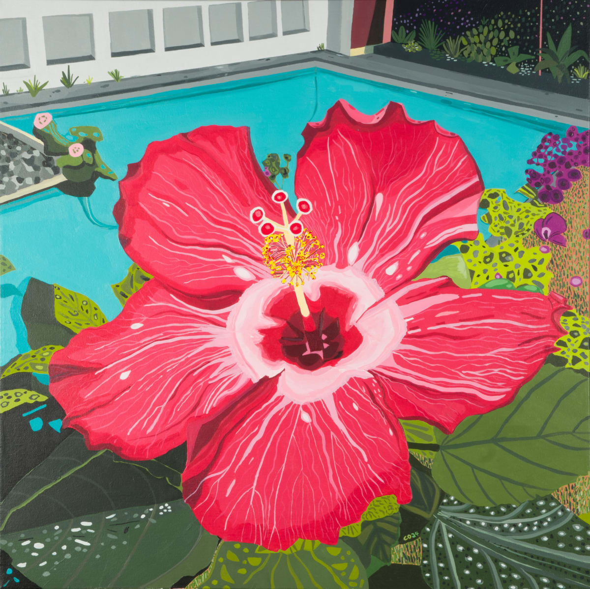 HIBISCUS (2024) by Caley O'Dwyer 