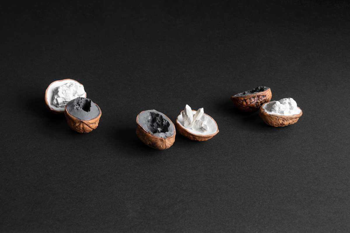 Noix bijoux by Thomas Tronel Gauthier 