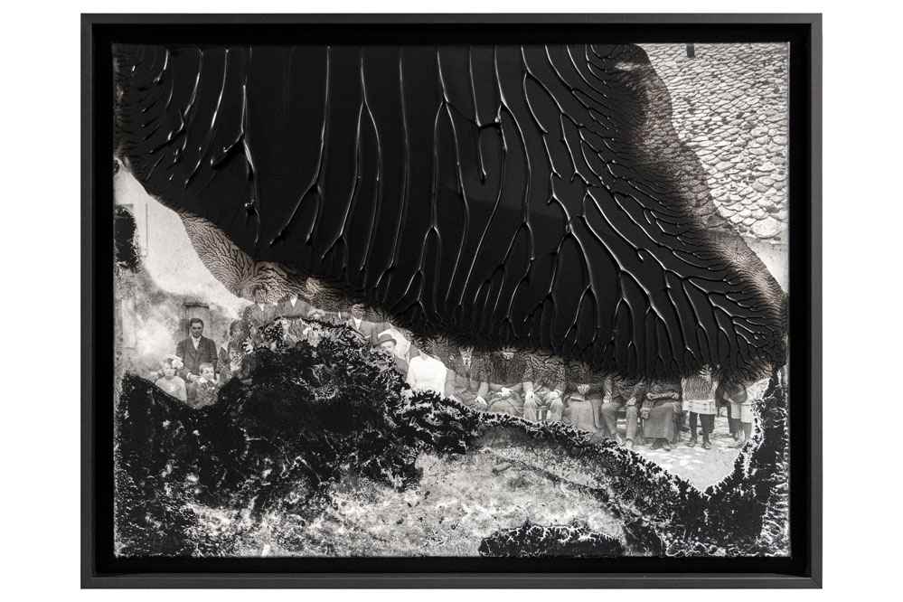 Les Altérées du fonds Parry [Noces à la maison] by Thomas Tronel Gauthier 