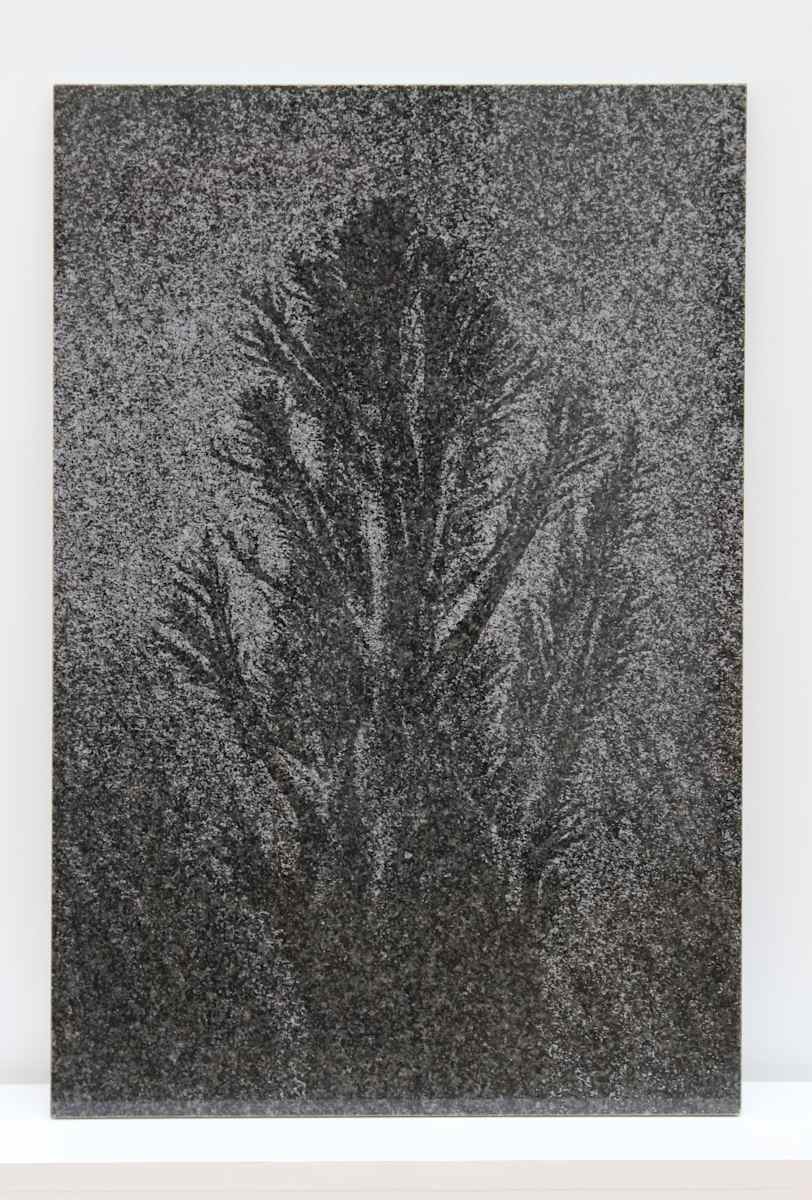 Les Sables retrouvés #1 by Thomas Tronel Gauthier 