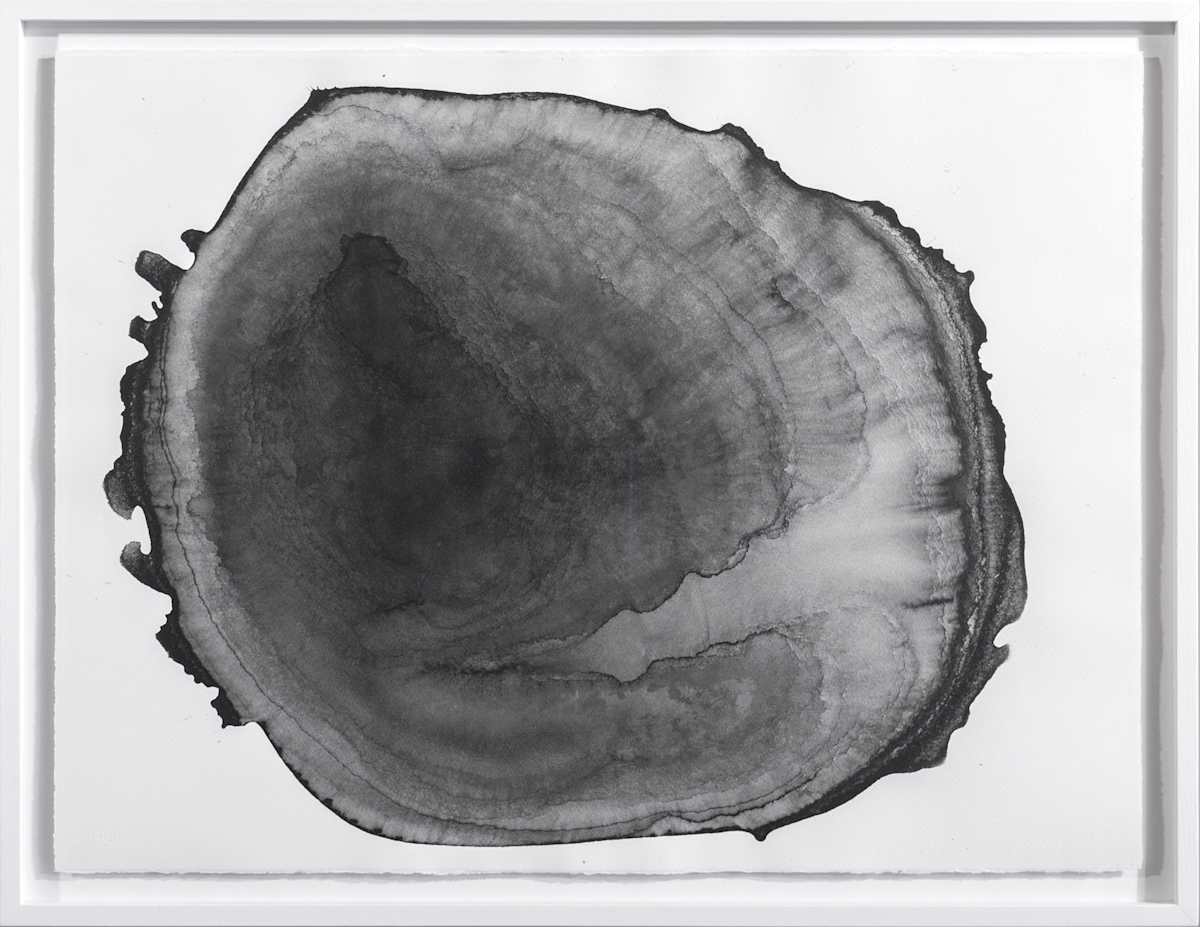 Water & Words [Future] by Thomas Tronel Gauthier 