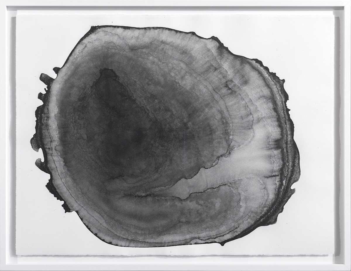 Water & Words [Future] by Thomas Tronel-Gauthier, Image 1.