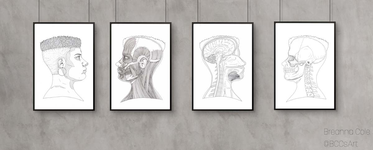 Anatomical Pages by Breanna Cole, Image 5.