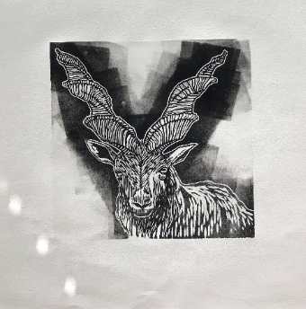Markhor Goat by Breanna Cole, Image 1.