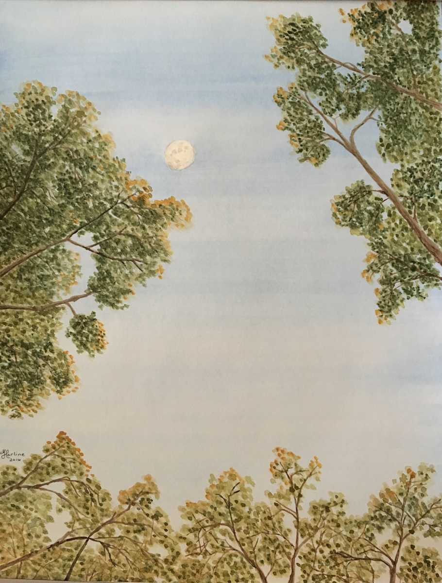 Moonset and Sunrise by Matt Harline  Image: Watching the Moon set between majestic oaks as the sun rises