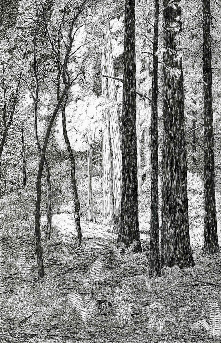 Sunlight and Shadow by Matt Harline, Image 1.