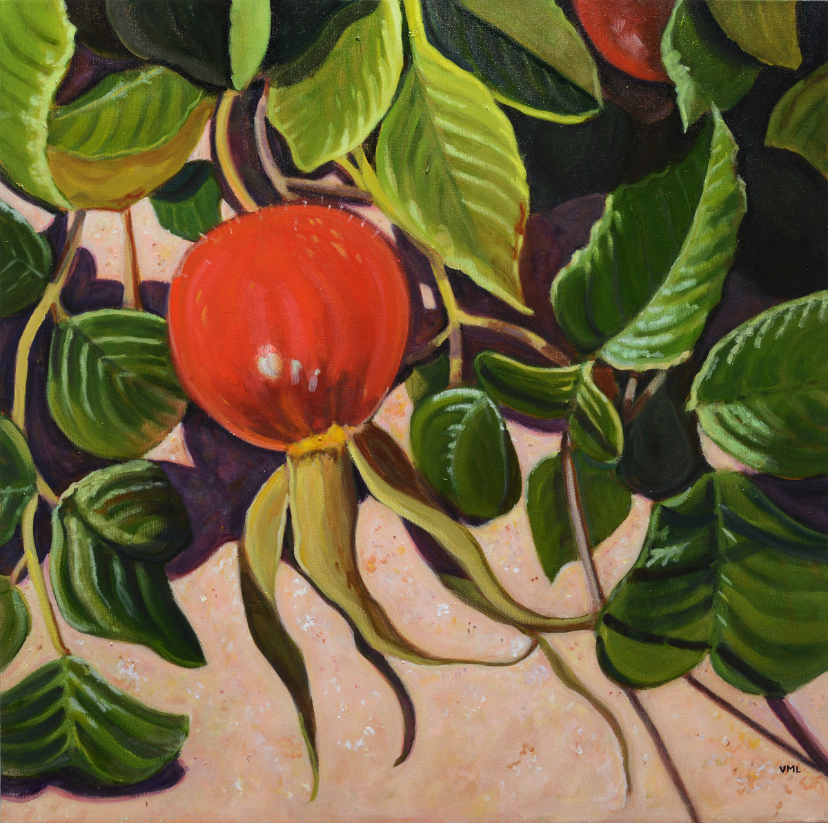Rose Hip Wauwinet by Victoria M  Le  Vine 