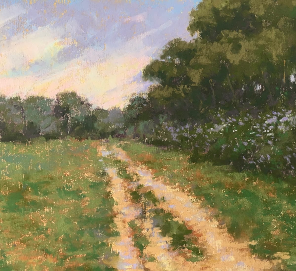 Summer Path by eden compton, Image 1.