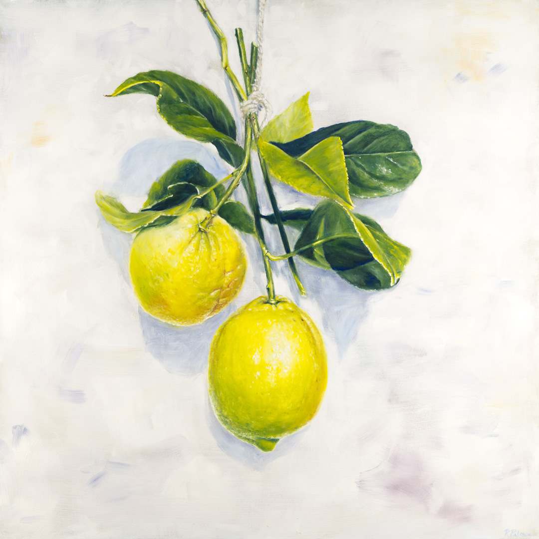 Garden Lemons by Robyn Palescandolo 
