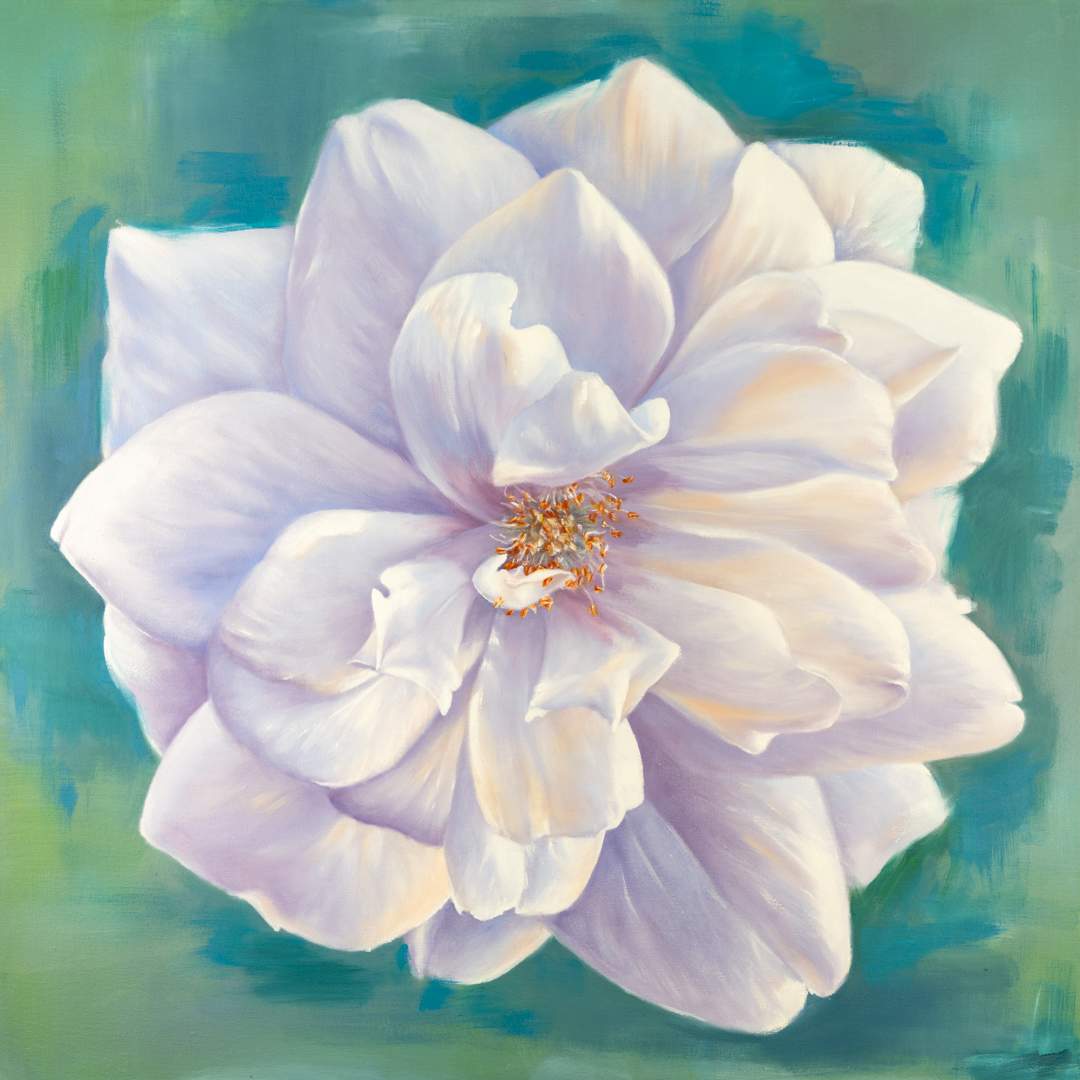 White Garden Rose by Robyn Palescandolo 