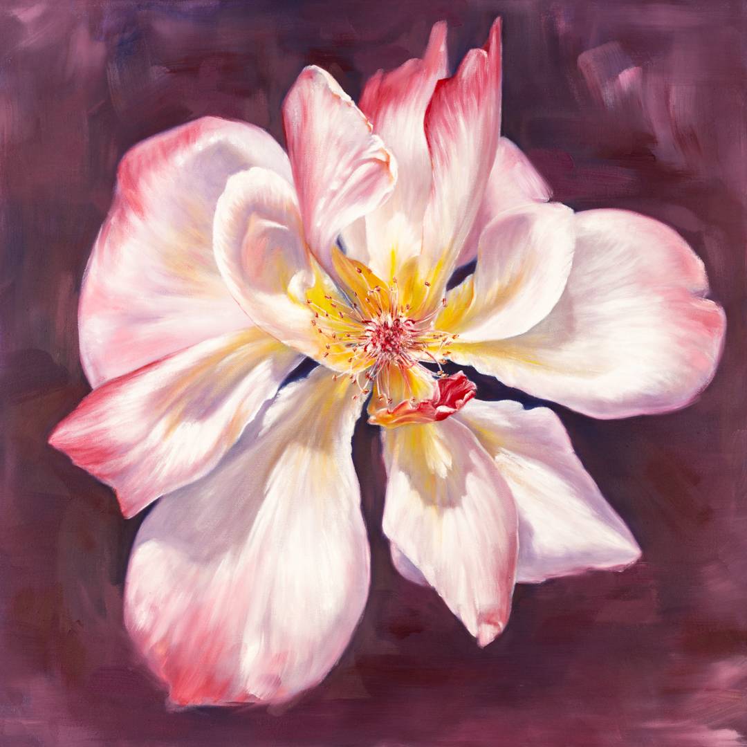 Fading Garden Rose by Robyn Palescandolo 