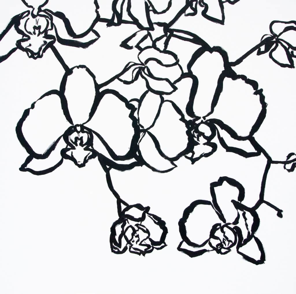Graphic Orchids by Robyn Palescandolo 