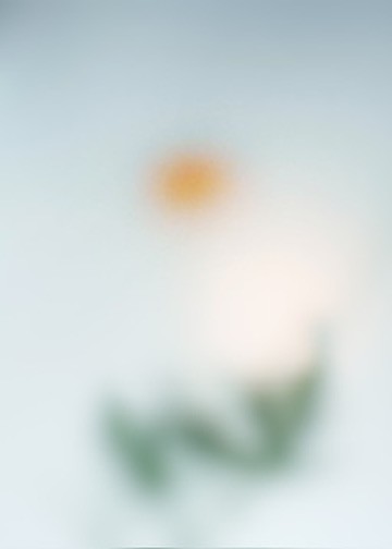 Flores by Arthur Fields, Image 1.