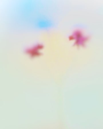 Arches by Arthur Fields, Image 5.