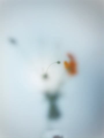 Lyra by Arthur Fields, Image 1.