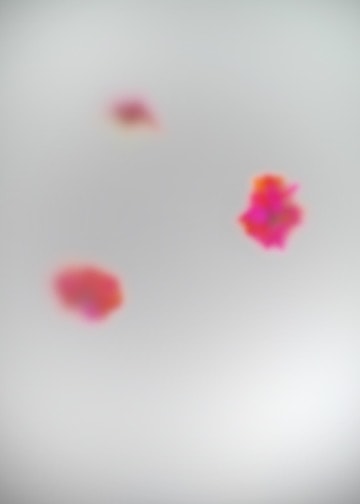 Carina by Arthur Fields, Image 15.