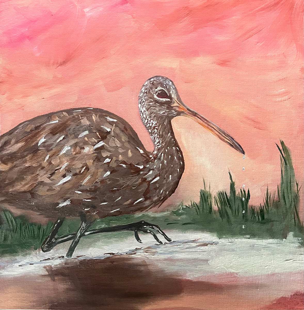 Florida's Loud Neighbor by Sylvia Montgomery, Image 1.