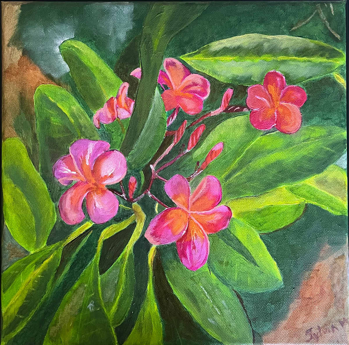 Tropical Grace by Sylvia Montgomery 