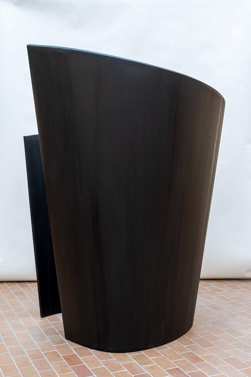 Sertraline by Myles Vasta, Image 7.