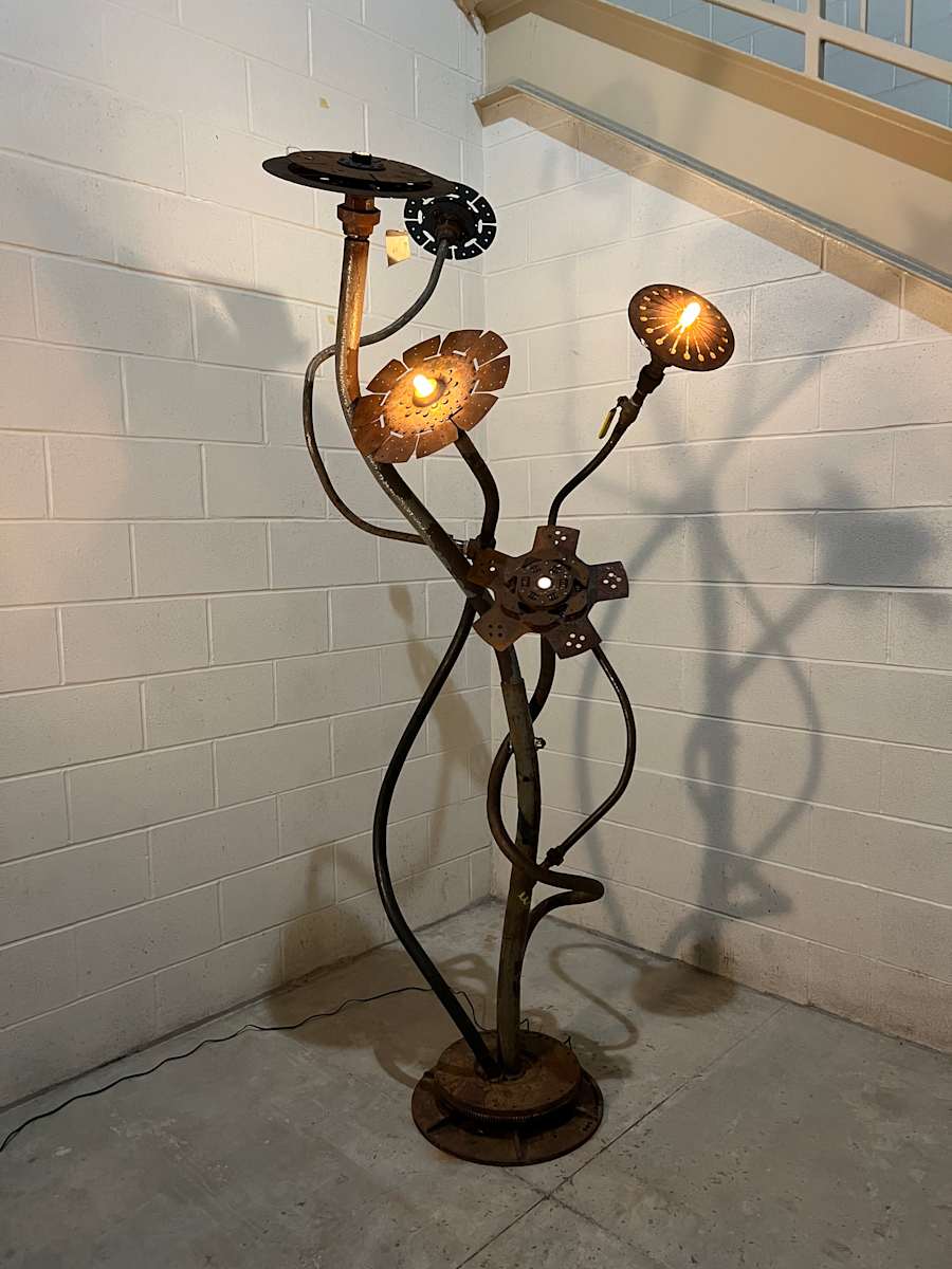 Daffodil by Myles Vasta 